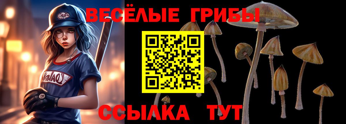 Псилоцибиновые грибы GOLDEN TEACHER Новочеркасск